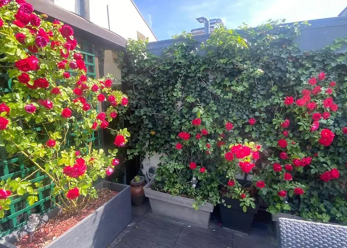Louvre Terrace Apartment